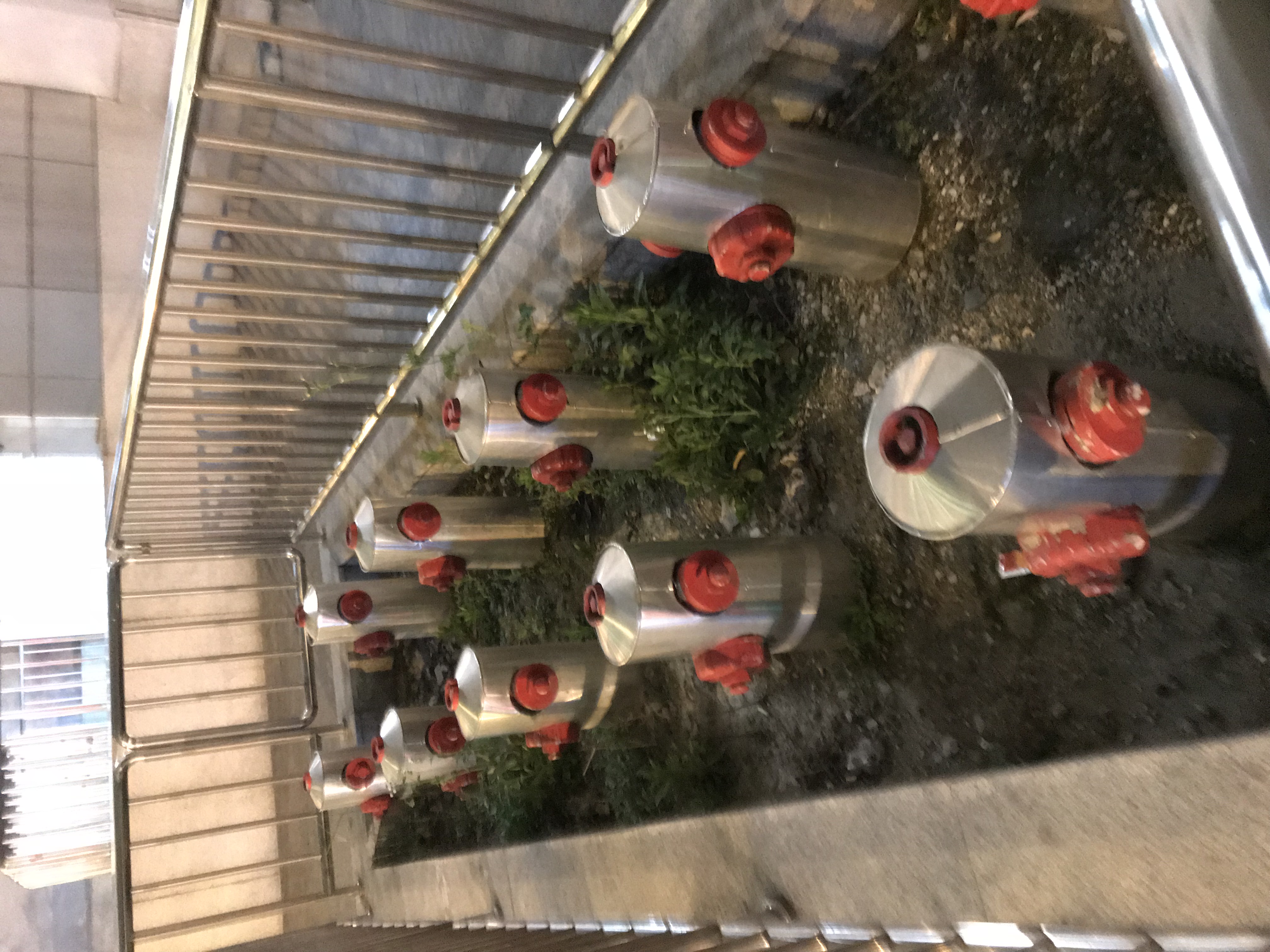 ./2018/03 - Viking China/22 - Shanghai Day 1/IMG_0169.JPG